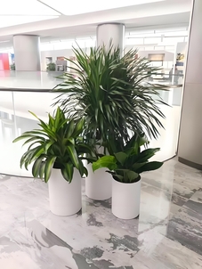 花卉出租设计哪家强？宁波海曙不容错过